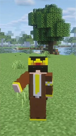 I change my Logo and Skin #minecraft