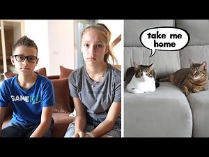 We found Chibi and George from Sis vs Bro!