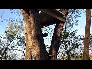 2 Hour Tree stand Build!