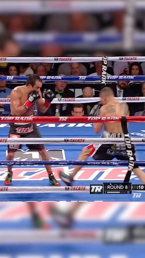 884K views · 25K reactions | #UnDíaComoHoy, en 2014, Juan Manuel Márquez pudo dominar a Mike Alvarado.  | Top Rank en Español | Facebook