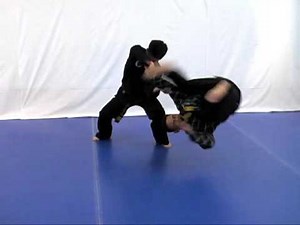 Hapkido Training Video Preview (Eagle Talon Hapkido)