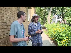 Parkways for Pollinators Chicago Project