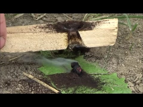 Jak primitivně rozdělat oheň