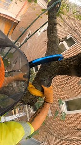 Fabian Ibarra (@beano_climb_oh94) discusses a little bit about why the Notch Nylon Loop Runner is a must-have for your kit. 👌 Who else needs the Nylon Loop Runner on every job? Available in 5 different lengths 👉 notchequipment.com/notch-nylon-loop-runners. #ArbGear | Notch Equipment