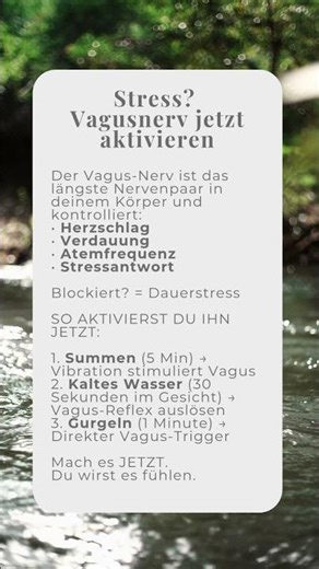 Vagus-Nerv sofort aktivieren – 3 Techniken die JETZT wirken