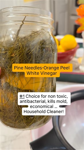 Pine needles are a natural disinfectant, offers a pleasant scent &...