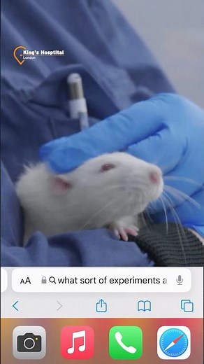 What sort of experiments are done on animals?