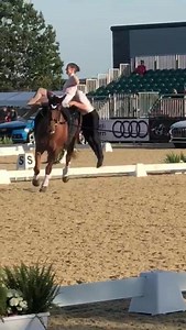 14K views · 223 reactions | Carl Hester & Gareth will be joining the...