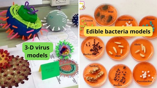 The 10 Best K-5 Science Projects for Learning About Germs