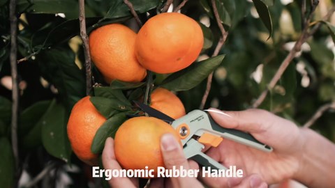 PrunePro Pruning Shears Gardening Scissors Set Professional Hand Pruner Sharp Stainless Steel Blade Garden Scissors Plant Flower Garden Clipper