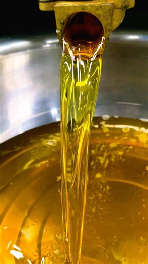 6YL-235 screw oil press machine to cold press sunflower seeds(with shell) oil #oilpress #machine