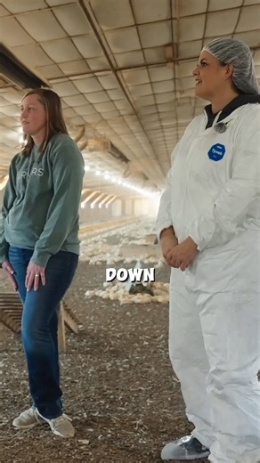 Farmers can control the temperature and ventilation of a chicken barn off their phone! 📱 It's awesome to see that the poultry industry has adapted technology that is making the bird's lives better! Thanks to Perdue Chicken and Makin’ Memories Farm for the tour of this organic poultry farm 😎 | Farm Babe