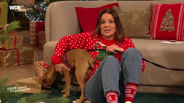 Tiere suchen ein Zuhause: Tiere suchen ein Zuhause vom 14.12.2025