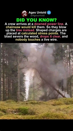 TREE, WIRE, BLAST