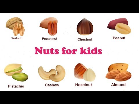 nuts for kids - dry fruits - kids visual dictionary - kids vocabulary - learn nuts and names