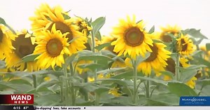 New pollinator garden coming to Clearview Farms