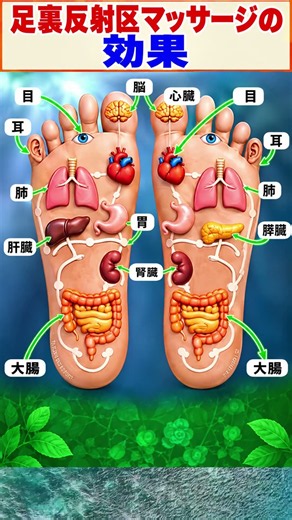 🦶 足の反射区をマッサージするメリット｜足つぼ・足裏反射療法で健康をサポート 🌿✨