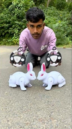 2 Remote Control Rabbit Unboxing Dako 😄