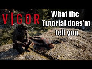 Vigor, What the Tutorial Doesn’t Cover