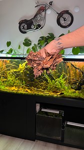 75K views · 15K reactions | Isn’t it so relaxing? For my blackwater...