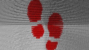 What is your digital footprint?