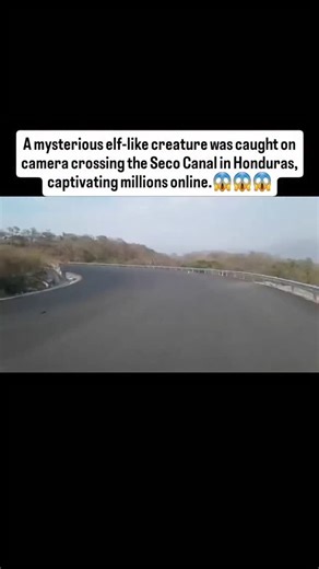 Science And Ghosts on Instagram: "Just @creepythingscaughtoncamera . The legend of the elf in Honduras is one of the most famous and mysterious stories. A video showing a strange, small figure crossing the road at the Seco Canal has brought this legend back into the spotlight. In the video, a very short figure suddenly appears and walks across the road. Because of its size and movement, many people believe it could be a duende, an elf, or even a leprechaun. The video later went viral across soci