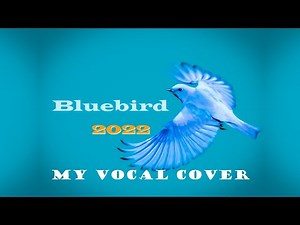 "BLUEBIRD" (Lyrics)🌺Vocals by Karen [2022] 💖 PAUL McCARTNEY & WINGS 💖 1973
