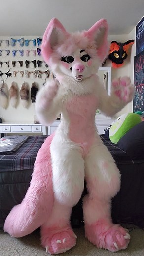 pink fen on Instagram: "Did you know Fauna was actually meant to be a lazyjoy suit? 😅 I follow both makers & at the time (mid 2021) their styles were quite similar, so much so that I- being new to suits- could not tell them apart. In my defense, I believe they had the same mentor lol. . But, I am SO glad this little mistake led me to the family of suit siblings that I have now, all of you are so fabulous and help make my conventions fun. . suiters included in video: @puramu_fox @purple_d