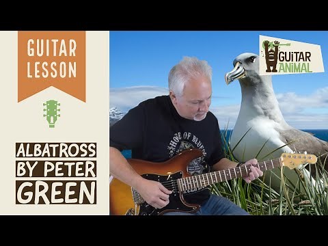 How to Play Albatross by Peter Green, Fleetwood Mac - Guitar Lesson