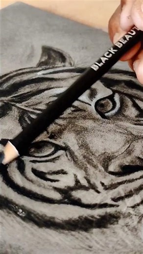 🐯Hyper Realistic Tiger Drawing 🔥#shorts
