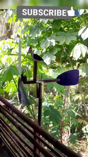 2901 And this is another great idea.