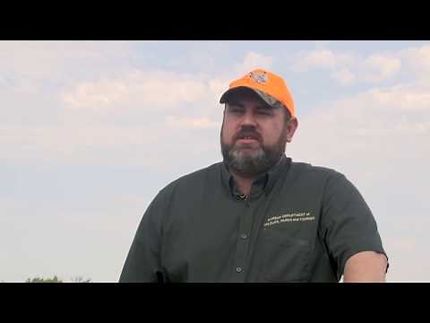 Testing for Chronic Wasting Disease in Deer