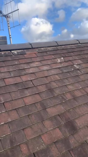 Adam Taylor on Reels