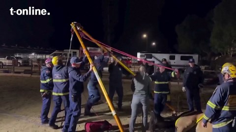 Kalifornien: Widerspenstiges Pferd sorgt bei Rettung für Aufsehen