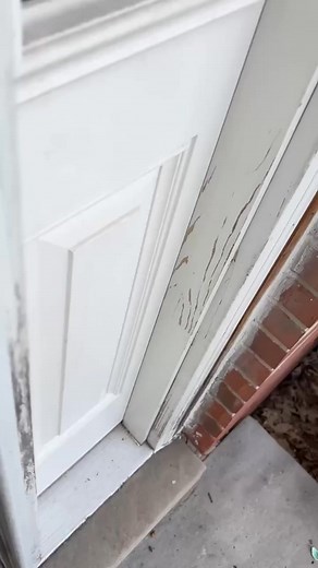 Dawn Murphy on Reels