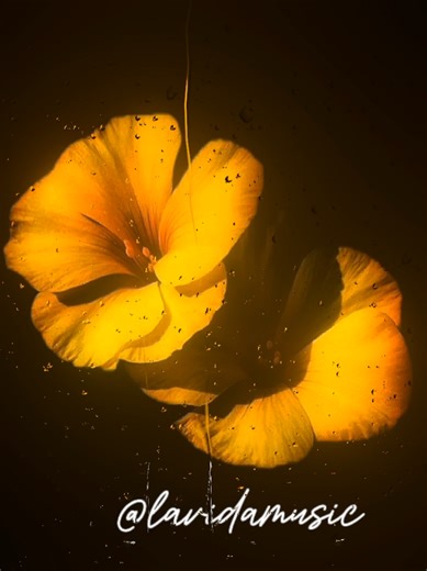 Understanding Angel Numbers in Music: Ten Toes Lyrics