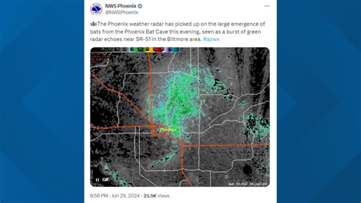 Did you know Phoenix has a 'bat cave'? The National Weather Service posted about it and yes, it's real