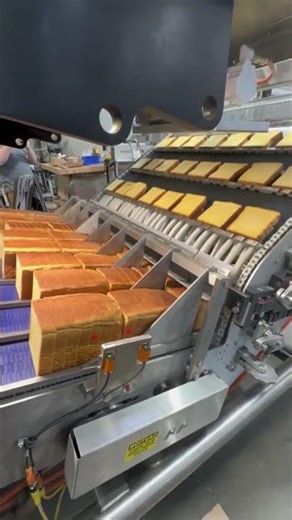 Automated Toast Bread Production Line🍞🚀#bread #machine #food #shorts