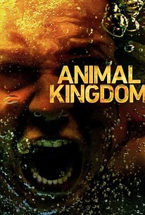 Animal Kingdom: Season 3 | Cast and Crew | Rotten Tomatoes