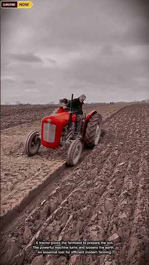 Powerful Farm Tractor for Plowing and Preparing Agricultural Fields Efficiently