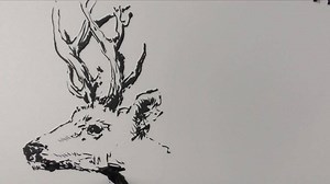 A fun 5min brushpen sketch | Alphonso Dunn