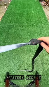 551 reactions | Fake Snake Turns Into GIANT Anaconda!  #shorts #viraltrending | Mysterydecode | Facebook