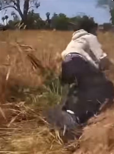 💥🚨🚨FOOTAGE RELEASED OF DEADLY SHOOTING INVOLVING SUSPECT, MERCED COUNTY DEPUTY.. full story 👉🏻 https://t.ly/yWAPk | Beautiful Autumn