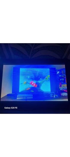 12 March 2026 finding nemo marlin meets crush