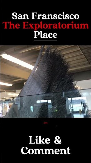 Exploring the Wonders of The Exploratorium: A Journey Through San Francisco's Iconic Spots