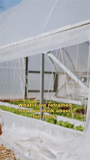 Local and regenerative food is an investment in nourishment. Local farming practices generally prioritize health on all levels over mass production and toxic pesticide use to get there. Food grown with the health of the community and the soil in mind creates food that is significantly higher in nutrients than cheap, conventionally grown food. When we support local farmers—through policy, community, and our dollars—we are actually helping to bring the overall cost of food down for everyone, over 