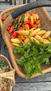 HUGE Harvest #harvest #growyourownfood #garden #backyardgarden #maryland #harvesttime