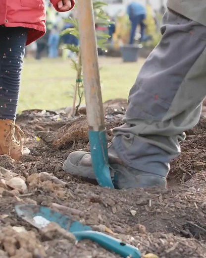 Hiring locally isn't just good for your project—it's good for our whole community. Choose Acacia Hire and support Western Queensland jobs. Fast delivery, reliable gear, local expertise. Local hire means local strength. | Acacia Hire | Facebook
