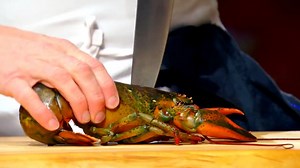 Comment préparer un Homard ? MASTERCHEF | Homard Demo Gordon de "Gordon Ramsay Masterclass" Une recette? Marocunivers.com | Cuisine Marocaine et Méditerranéenne
