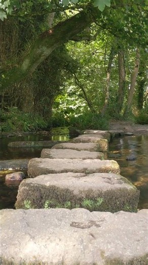 Lowertown Stepping Stones, Cornwall #nature #cornwall #river